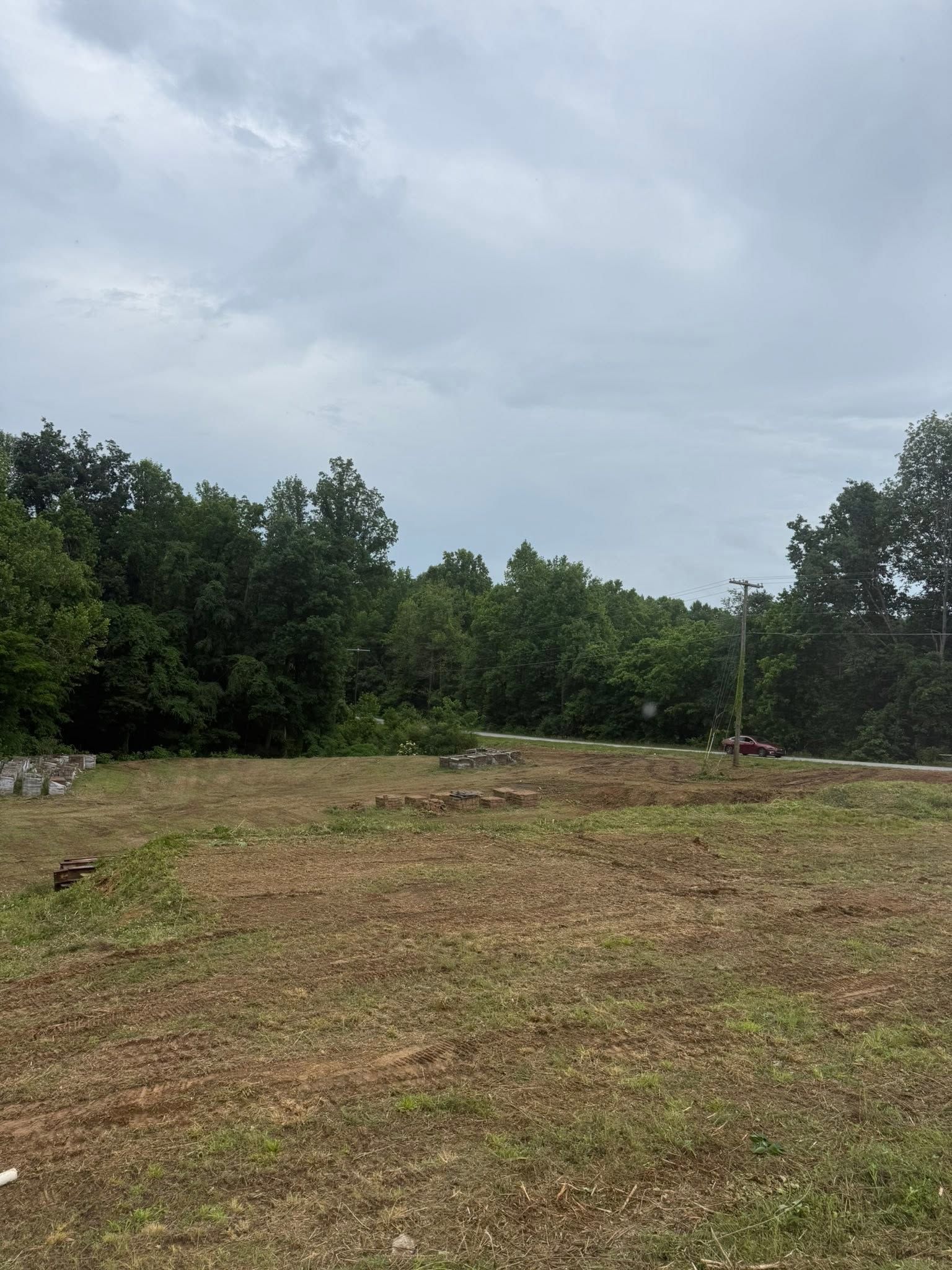 Open grassy clearing with trees under a cloudy sky