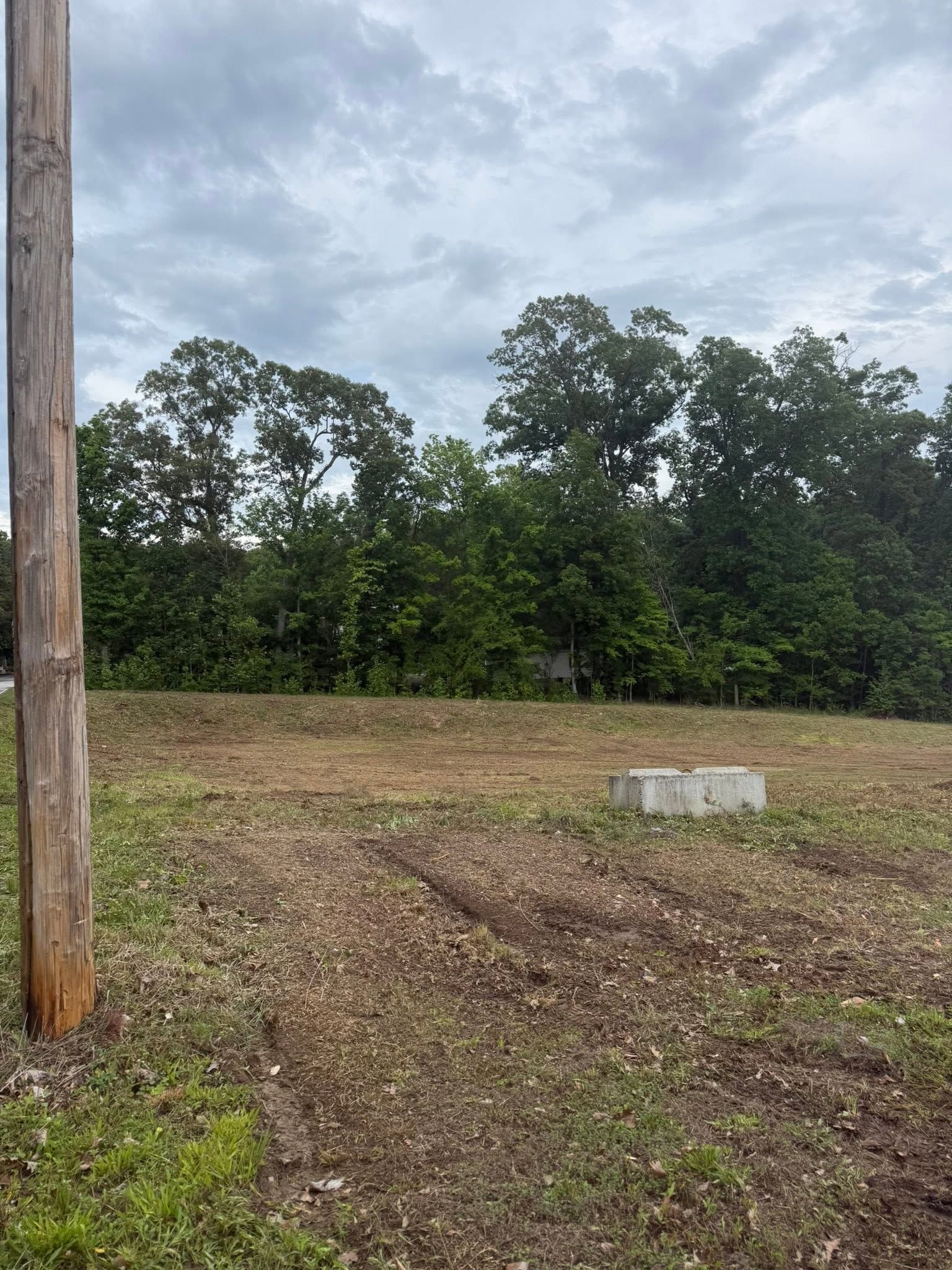 Grassy clearing with a concrete block, trees in the background, and a wooden utility pole at left under cloudy sky