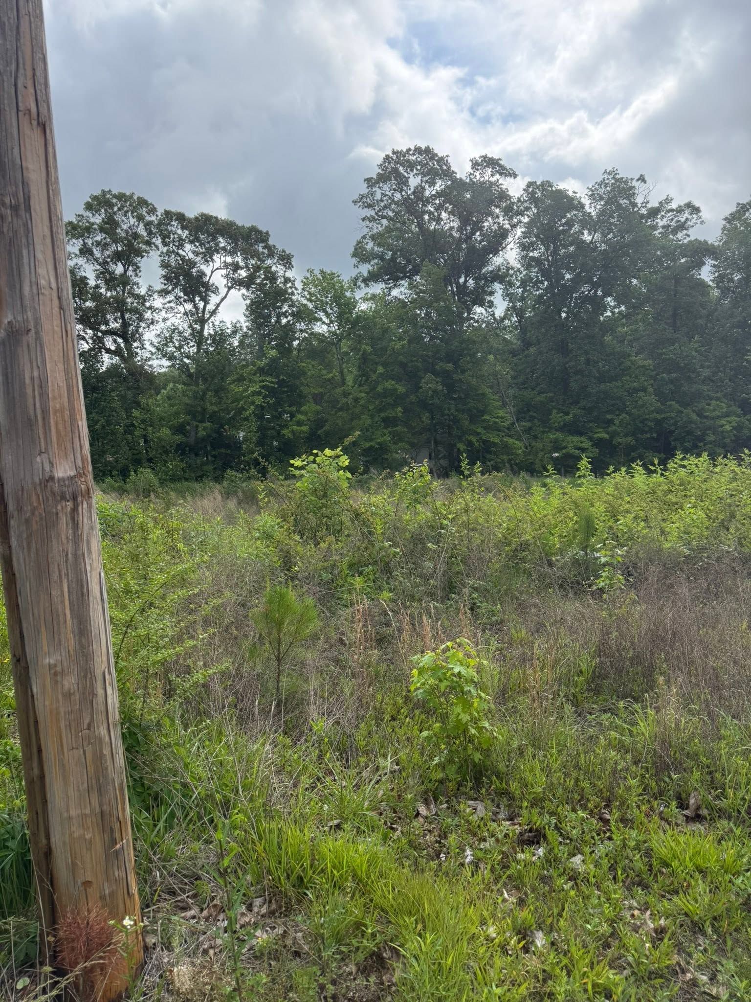 Wooden utility pole beside a grassy field and trees under a cloudy sky