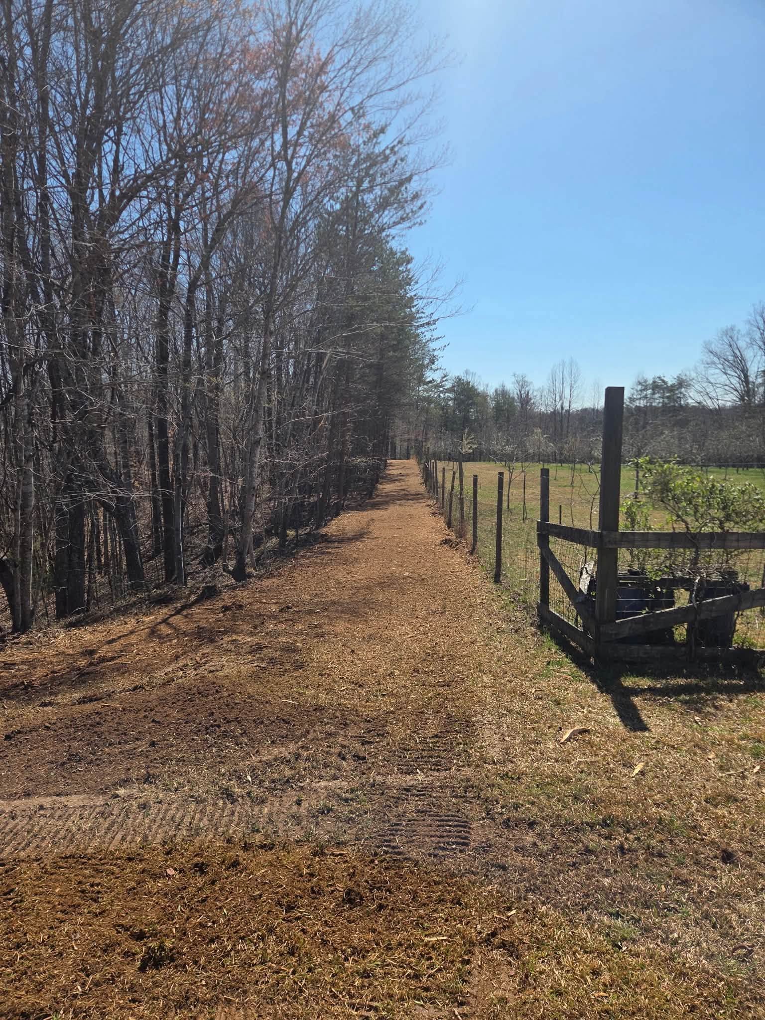 Sunlit gravel path beside bare trees and a wire fence leading into a grassy field