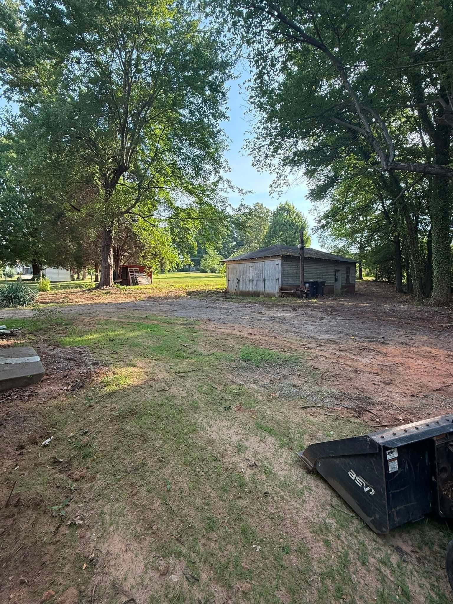 A backyard with large trees, a small shed, and scattered leaves on a grassy, dirt-covered ground.