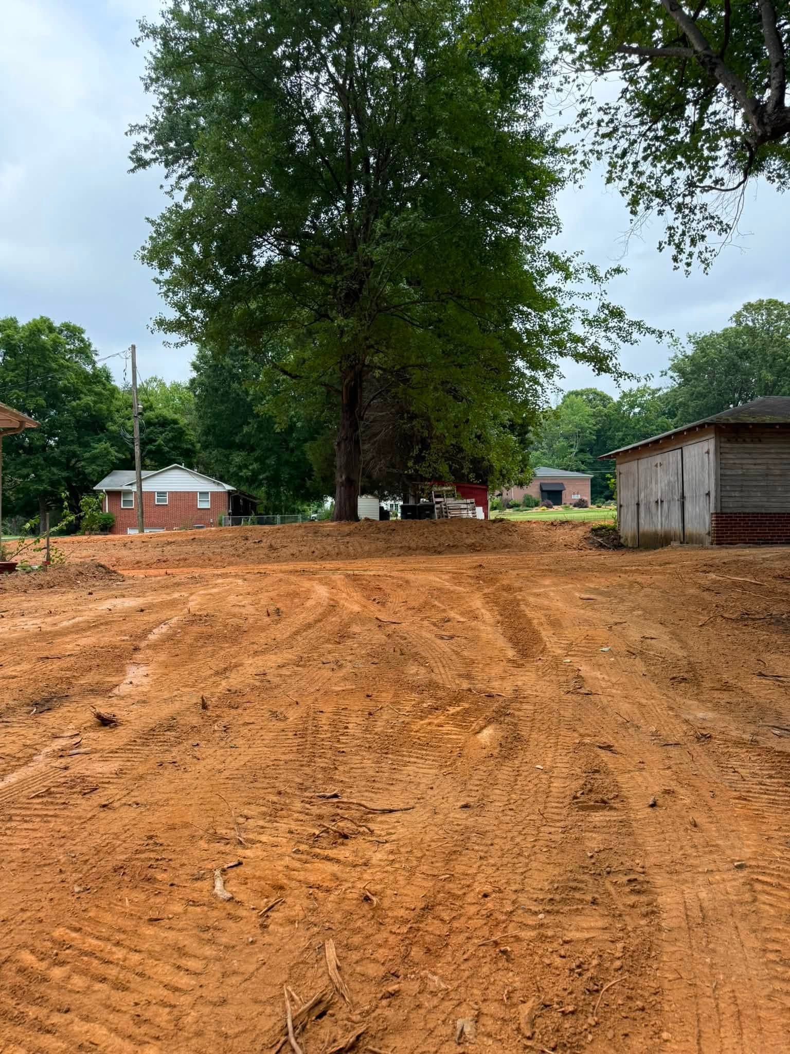 Dirt road leading to a large tree in a rural area with small buildings and a shed in the background
