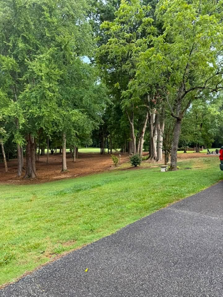 Tree-lined park path beside a green lawn on a cloudy day