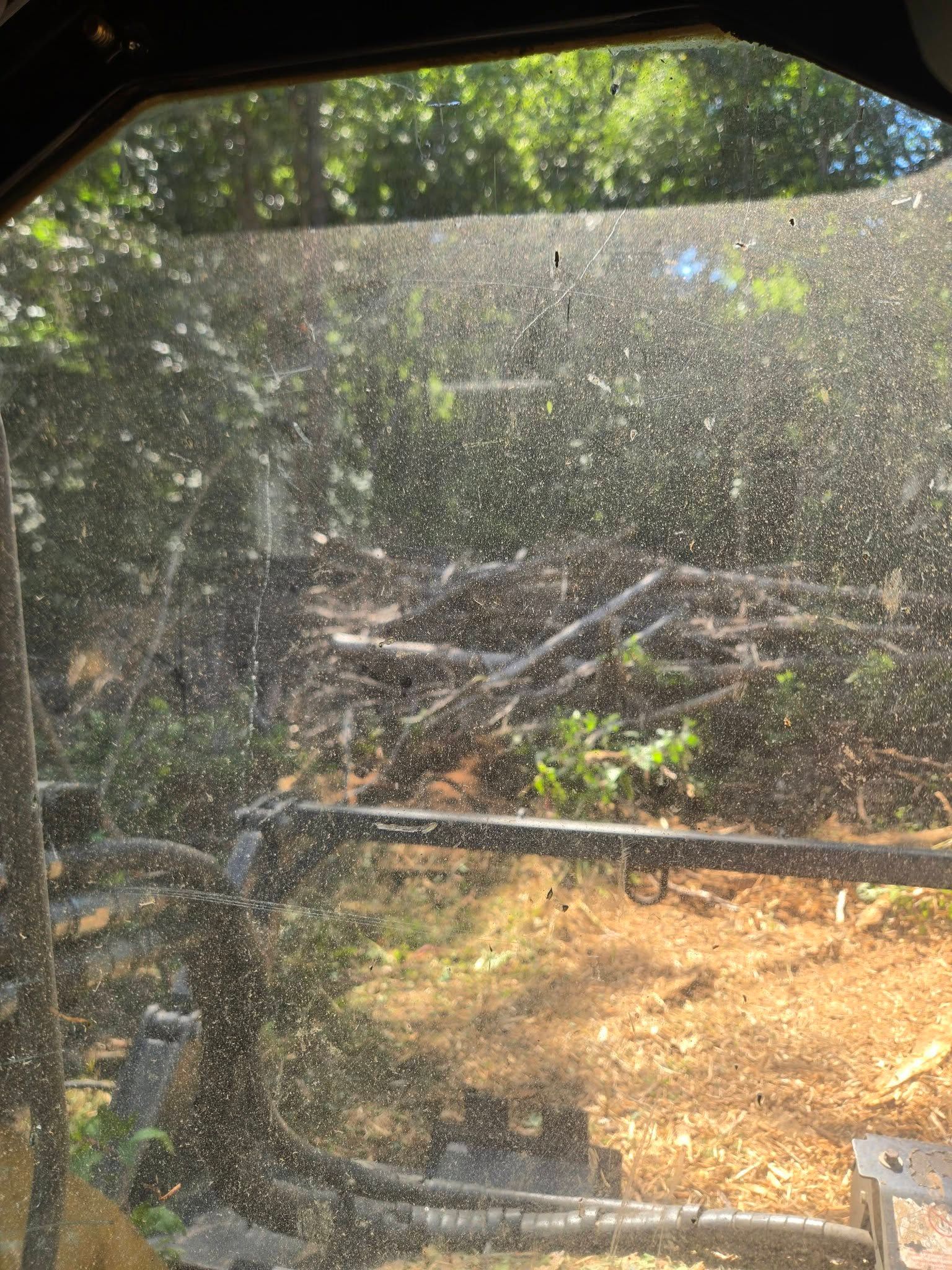 Dusty yard seen through a window, with trees, fallen branches, and dry ground.