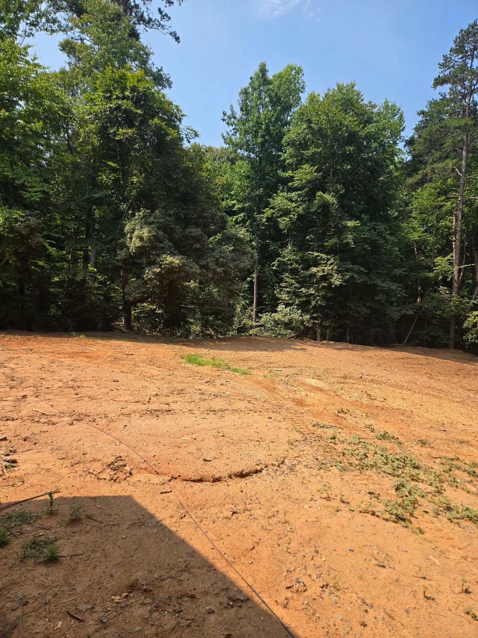 Cleared red dirt lot bordered by dense green trees under bright sunlight