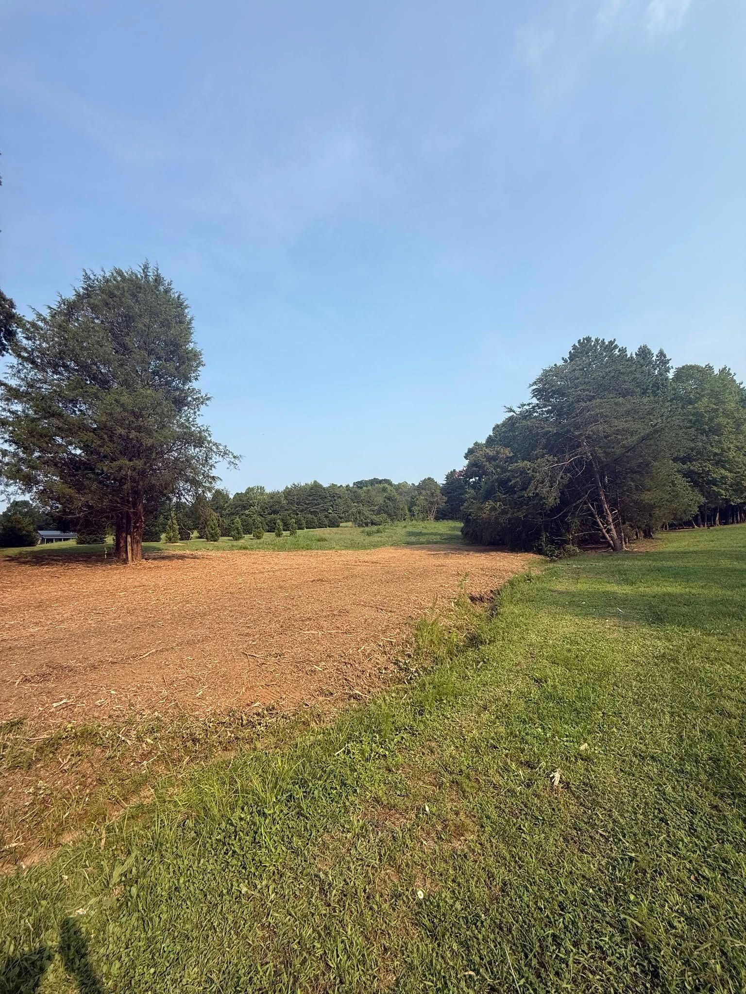 Rural field with green grass, tilled brown soil, and trees under a clear blue sky.