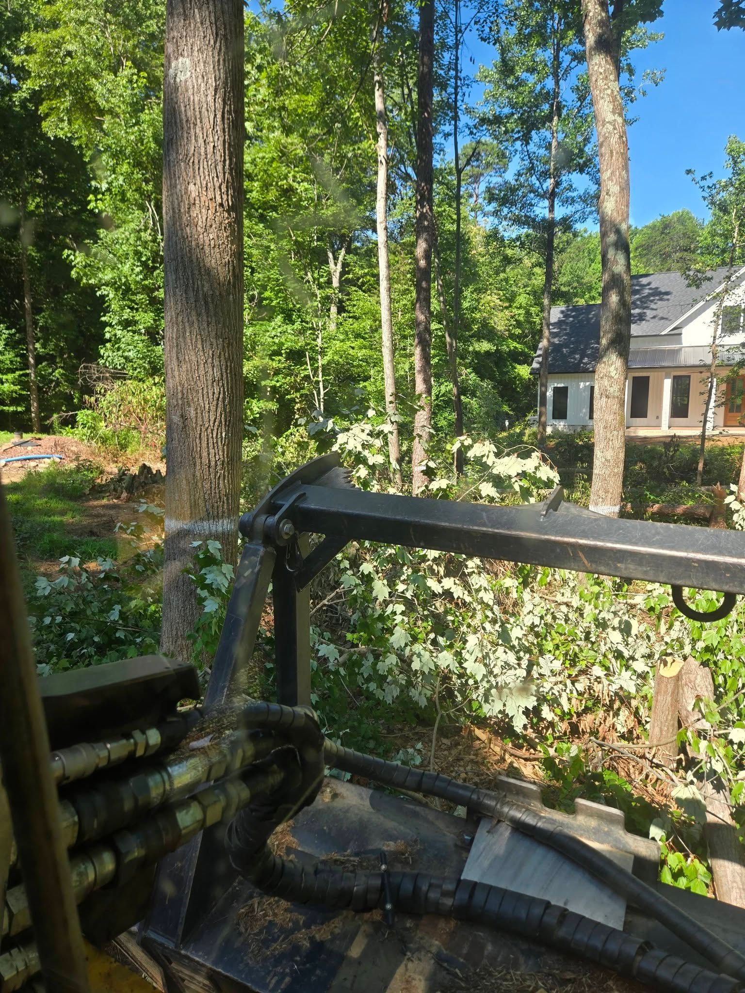 Wooden deck railing beside a lush backyard with tall trees and a house in the background.