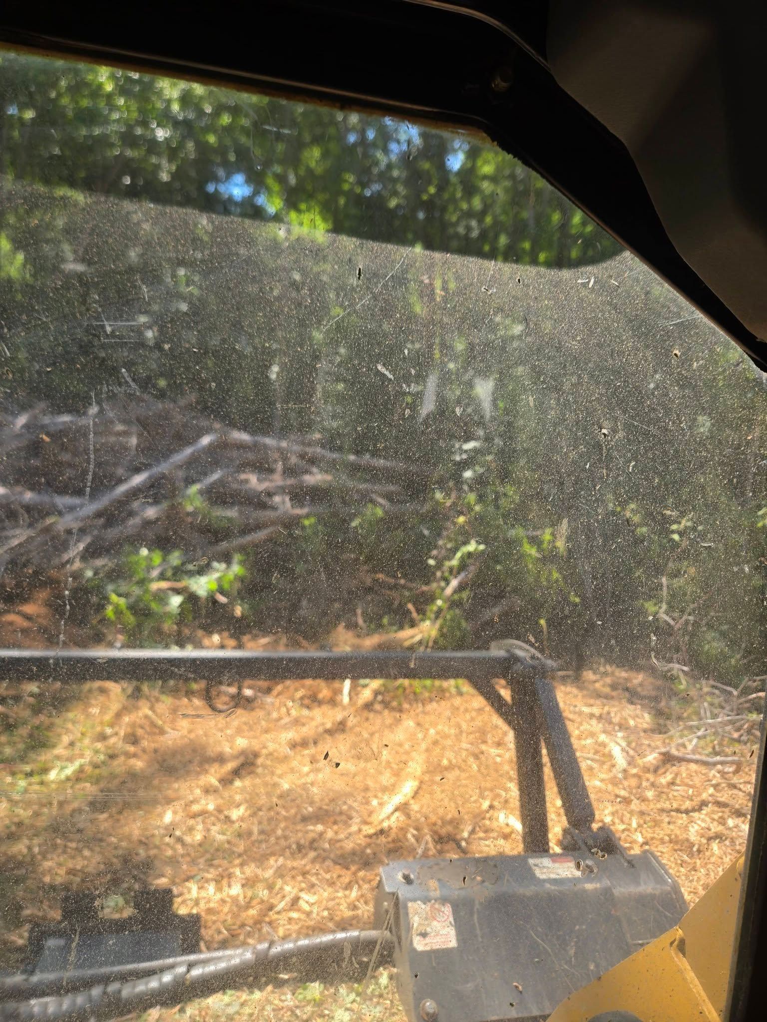 View through a dusty windshield from a vehicle on a dirt road in a wooded area