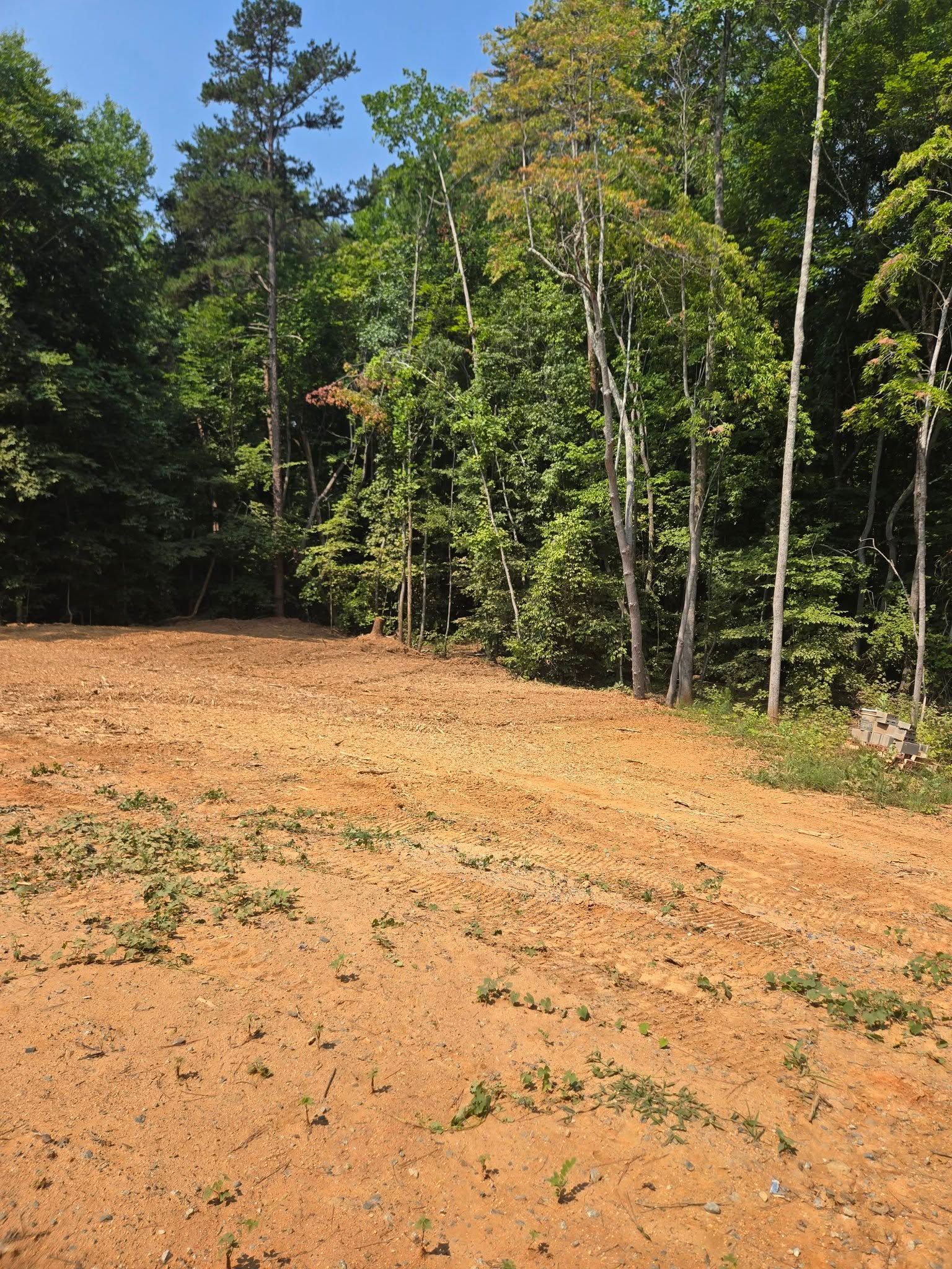 Cleared dirt lot beside dense green trees under a bright blue sky