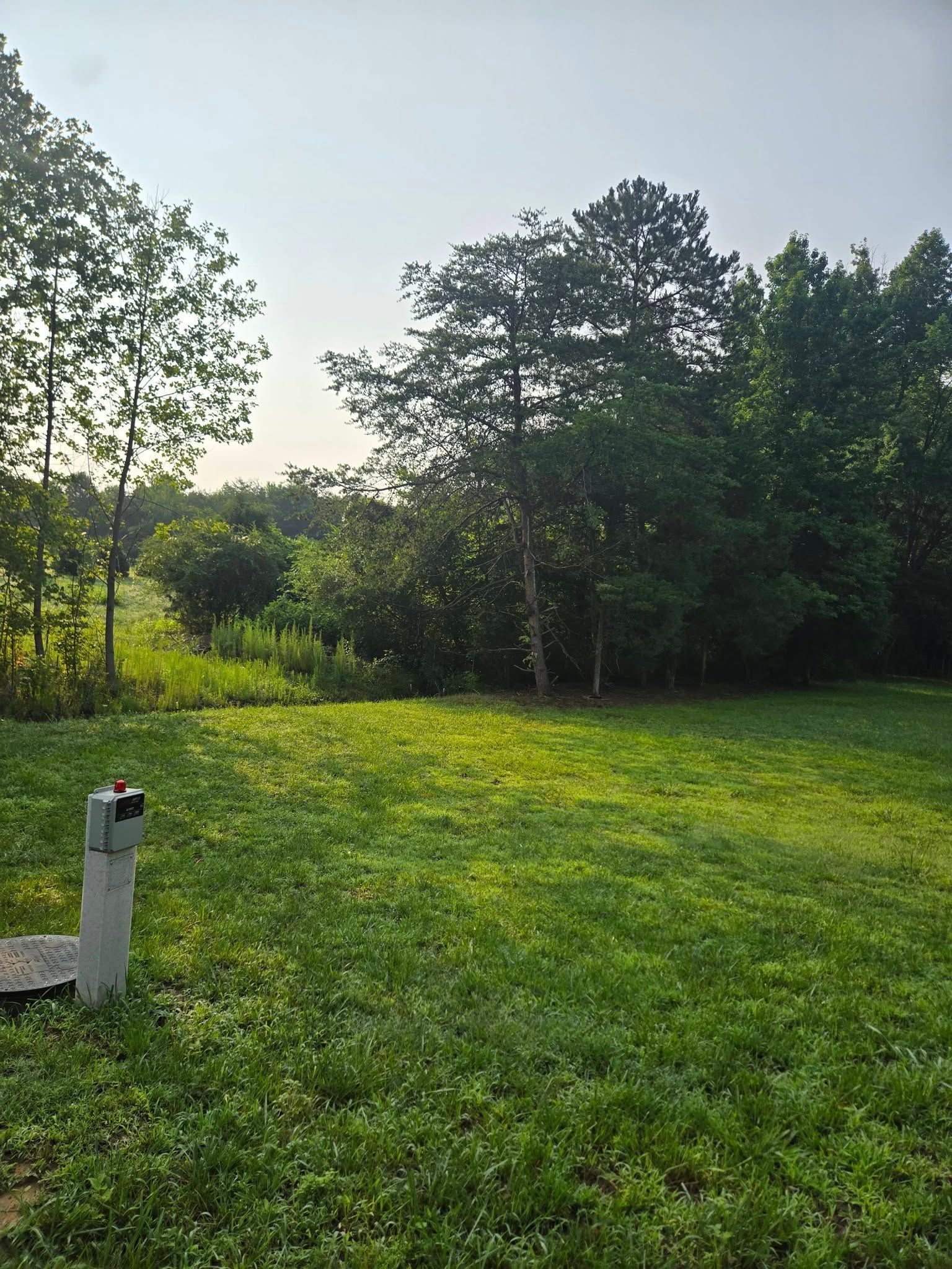 Sunlit grassy field bordered by trees, with a small concrete post in the foreground