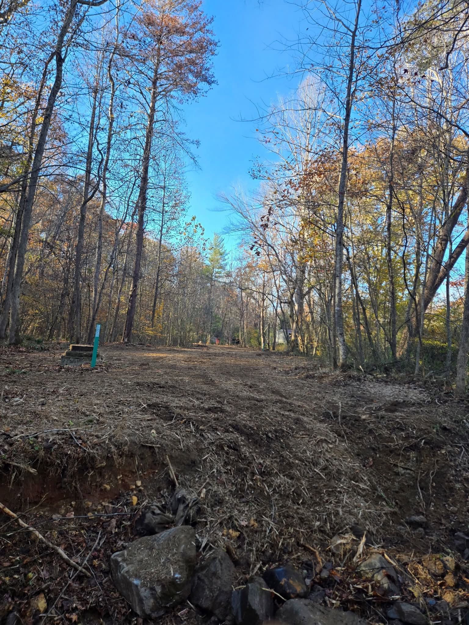 Wooded trail with bare autumn trees and a clear blue sky, viewed over a rocky, leaf-covered streambank