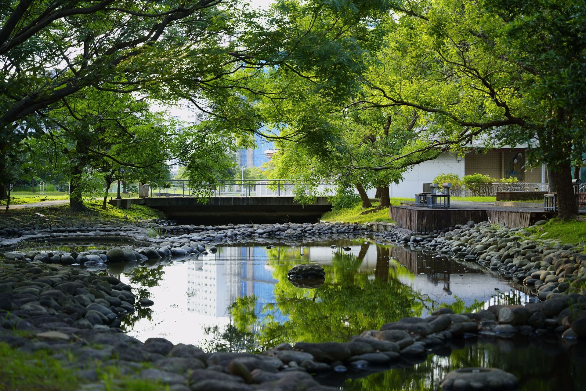 Peaceful garden pond with tree reflections, rocks, and a stone bridge under green canopy