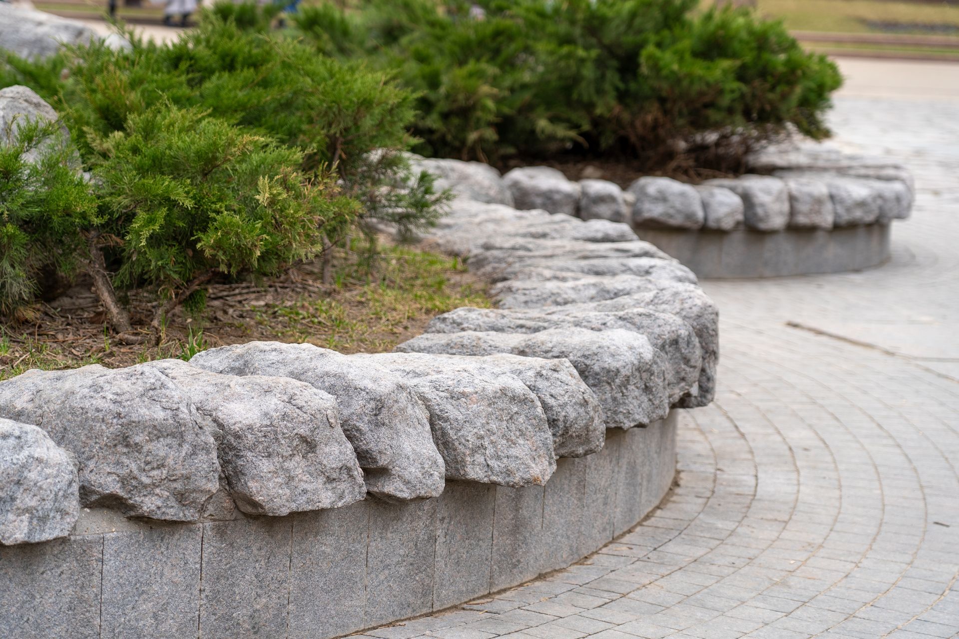 Curved stone planter edging a paved walkway with low green shrubs