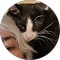 A black and white cat is laying on top of a woman 's head.