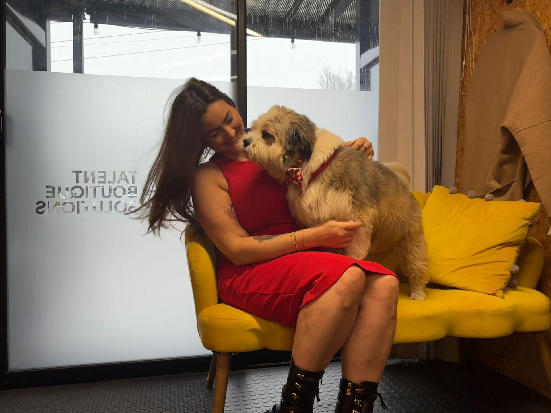 Dogs in the Office