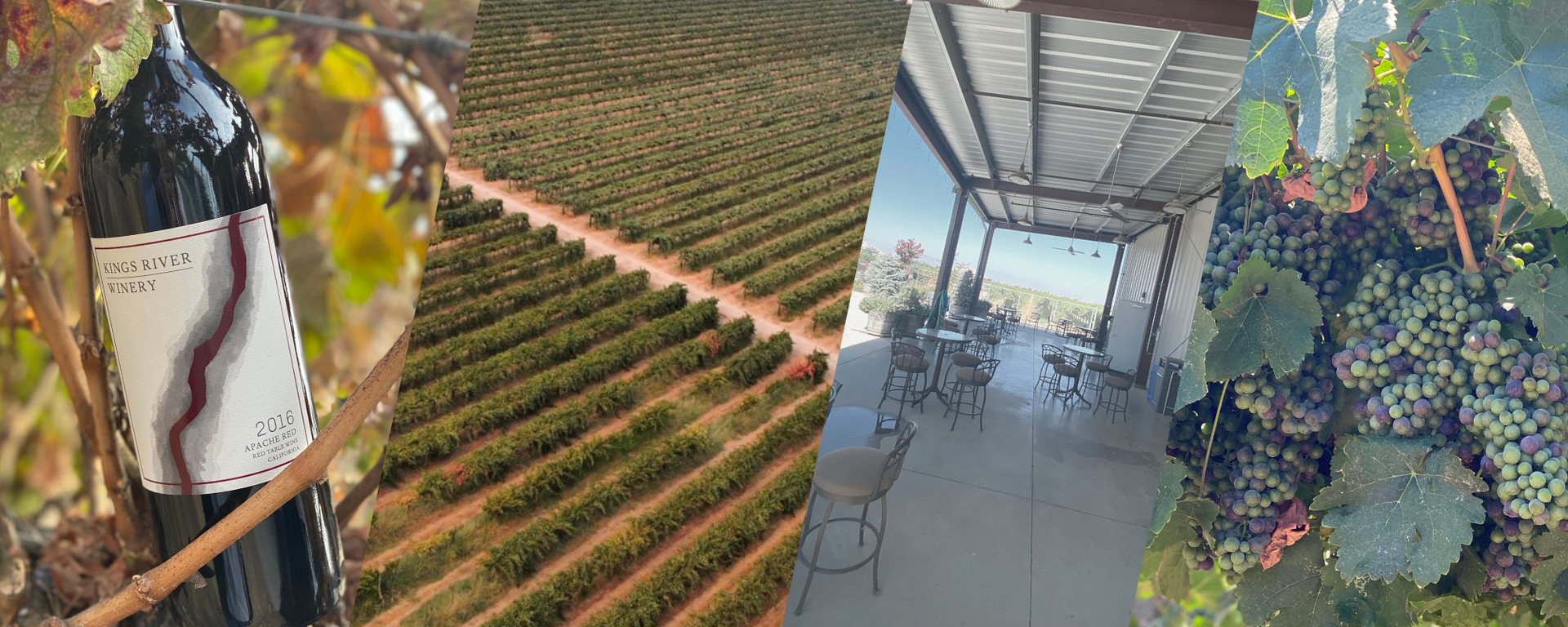 Vineyard collage: grape harvest basket, vineyard rows, winery patio, and grape clusters