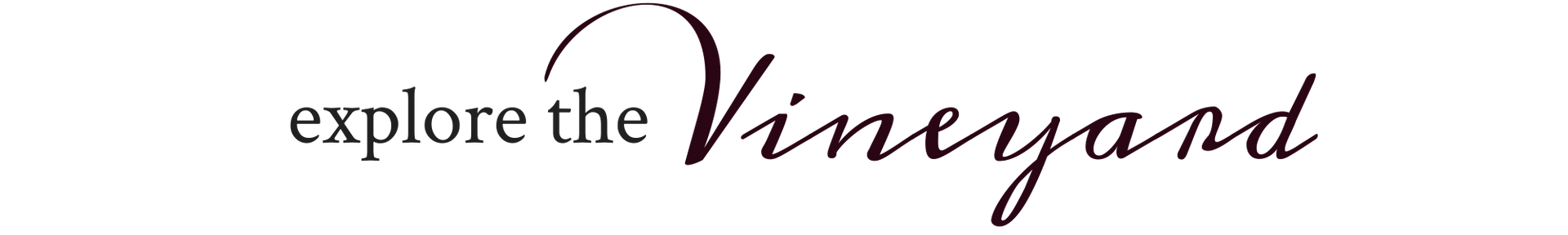 Logo reading “explore the Vineyard” in black script on a white background.