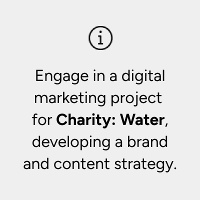 A text block describing a digital marketing project for 