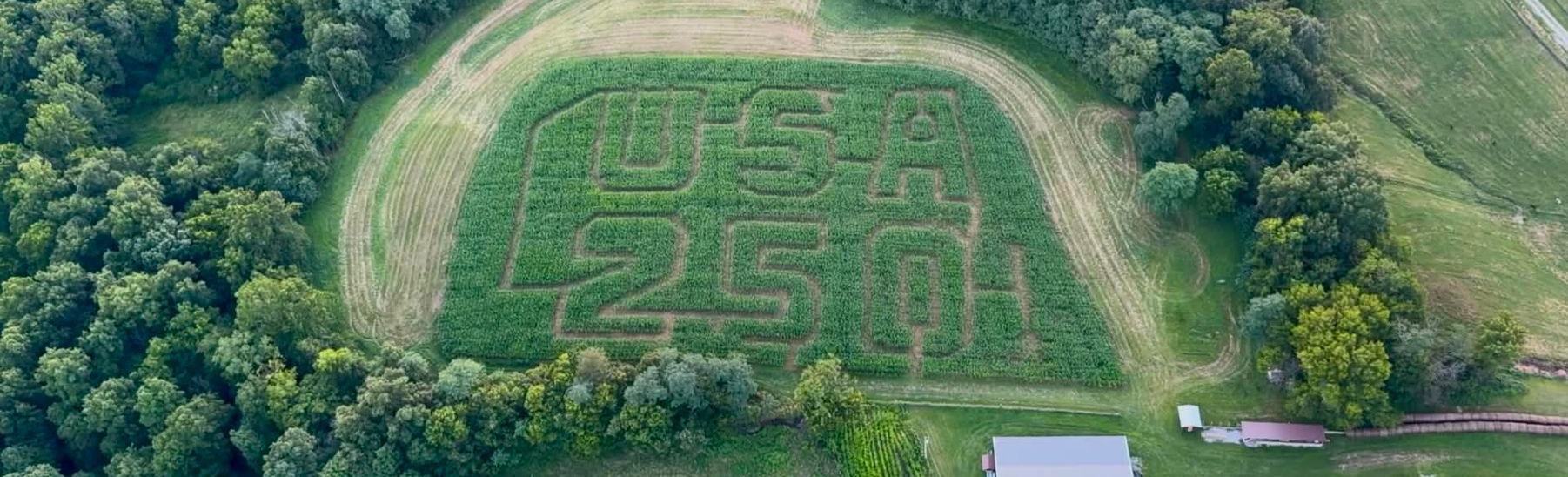 Corn Maze — Dry Ridge, KY — Country Pumpkins