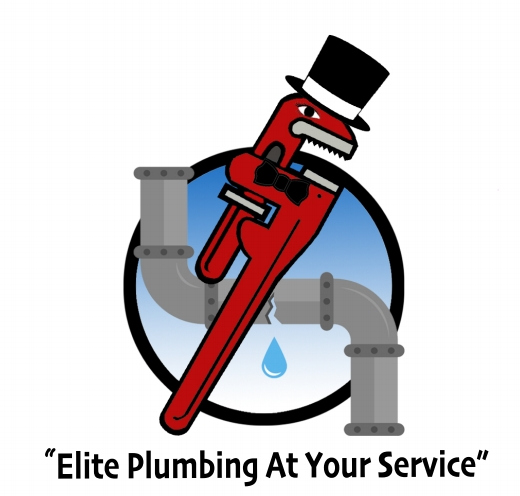 Elite Services Group