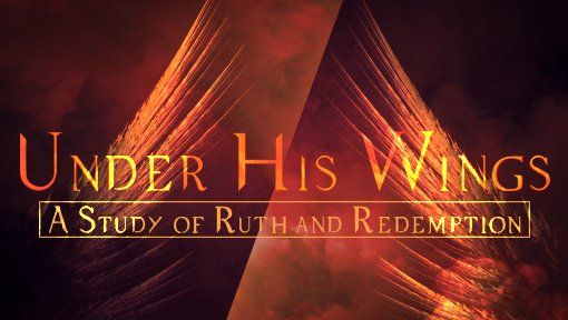 A poster for under his wings a study of ruth and redemption sermon series