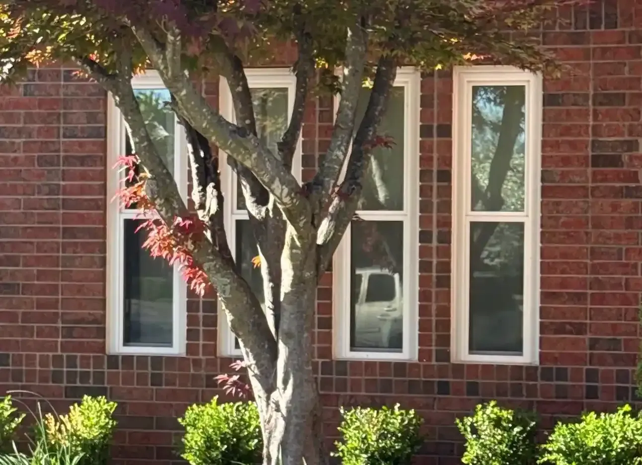 Completed window installation project showing sleek, modern windows in a residential property.