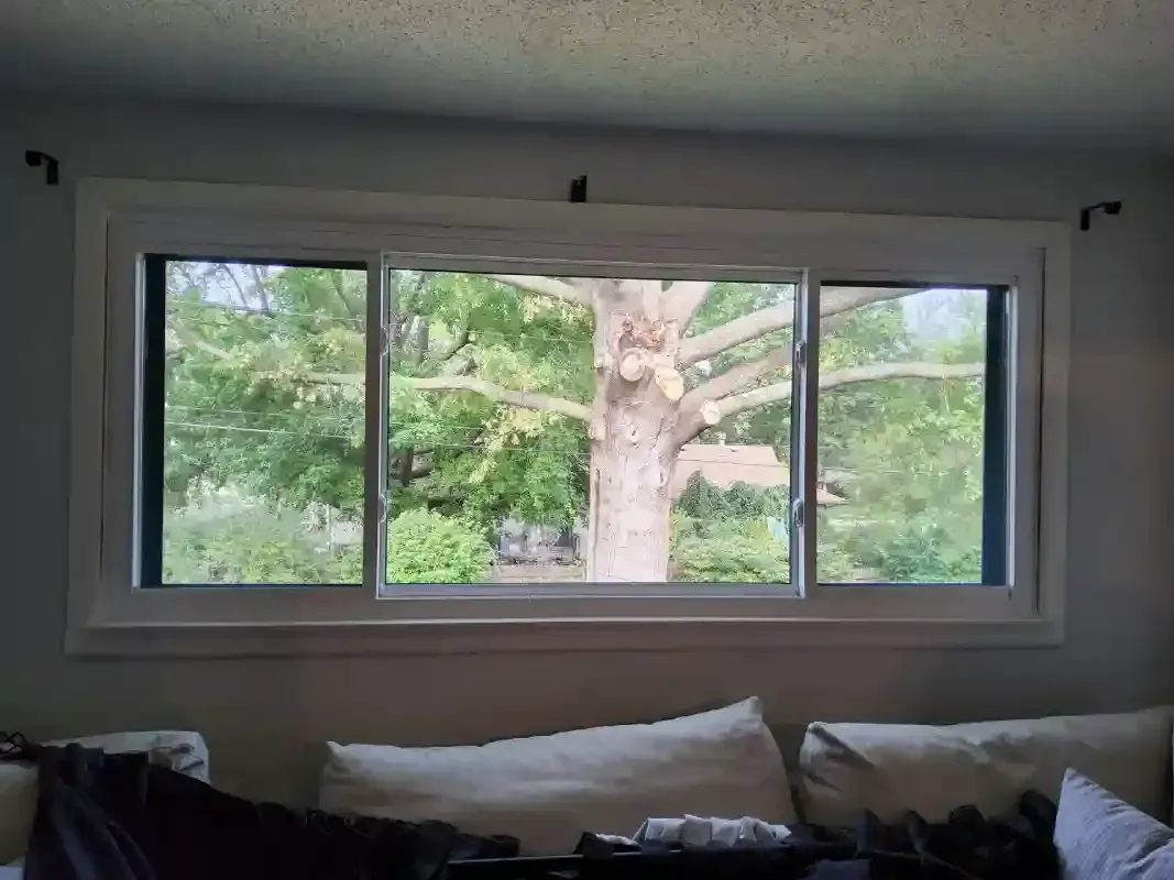 A white-framed horizontal sliding window shows a tree and suburban greenery outside, positioned above a gray couch.