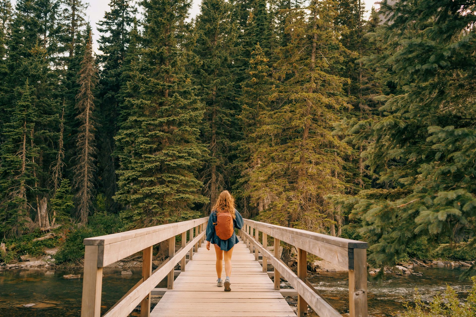 A person with a backpack walks across a wooden footbridge over a stream into a dense forest of evergreen trees.