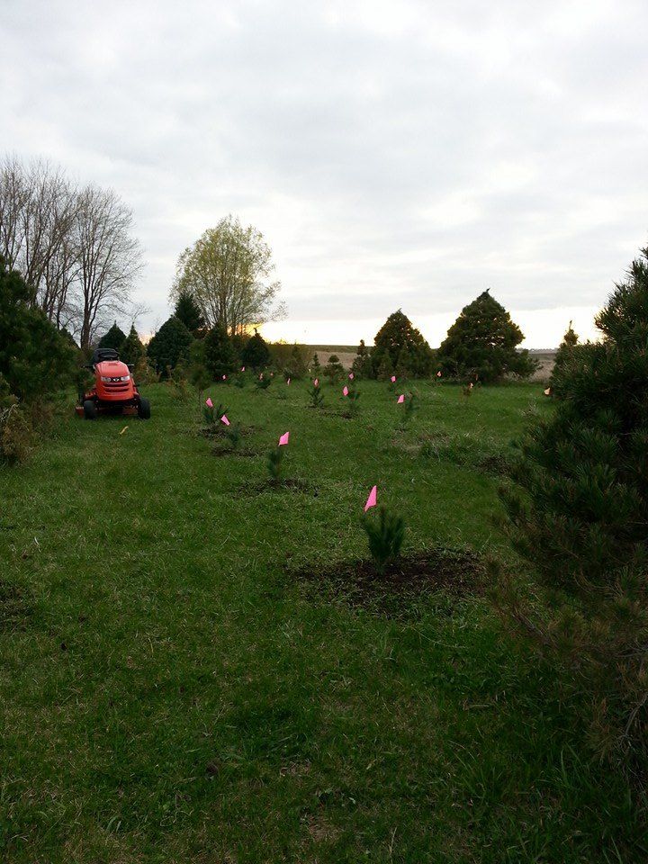 A tractor is cutting grass in a field with trees in the background.