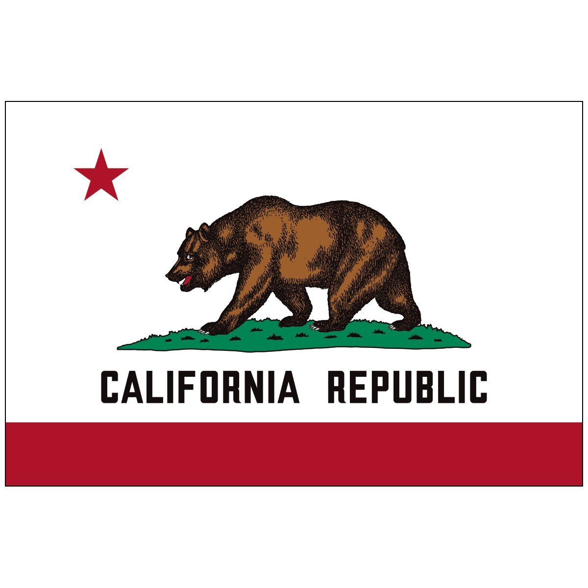 A california republic flag with a bear and a star