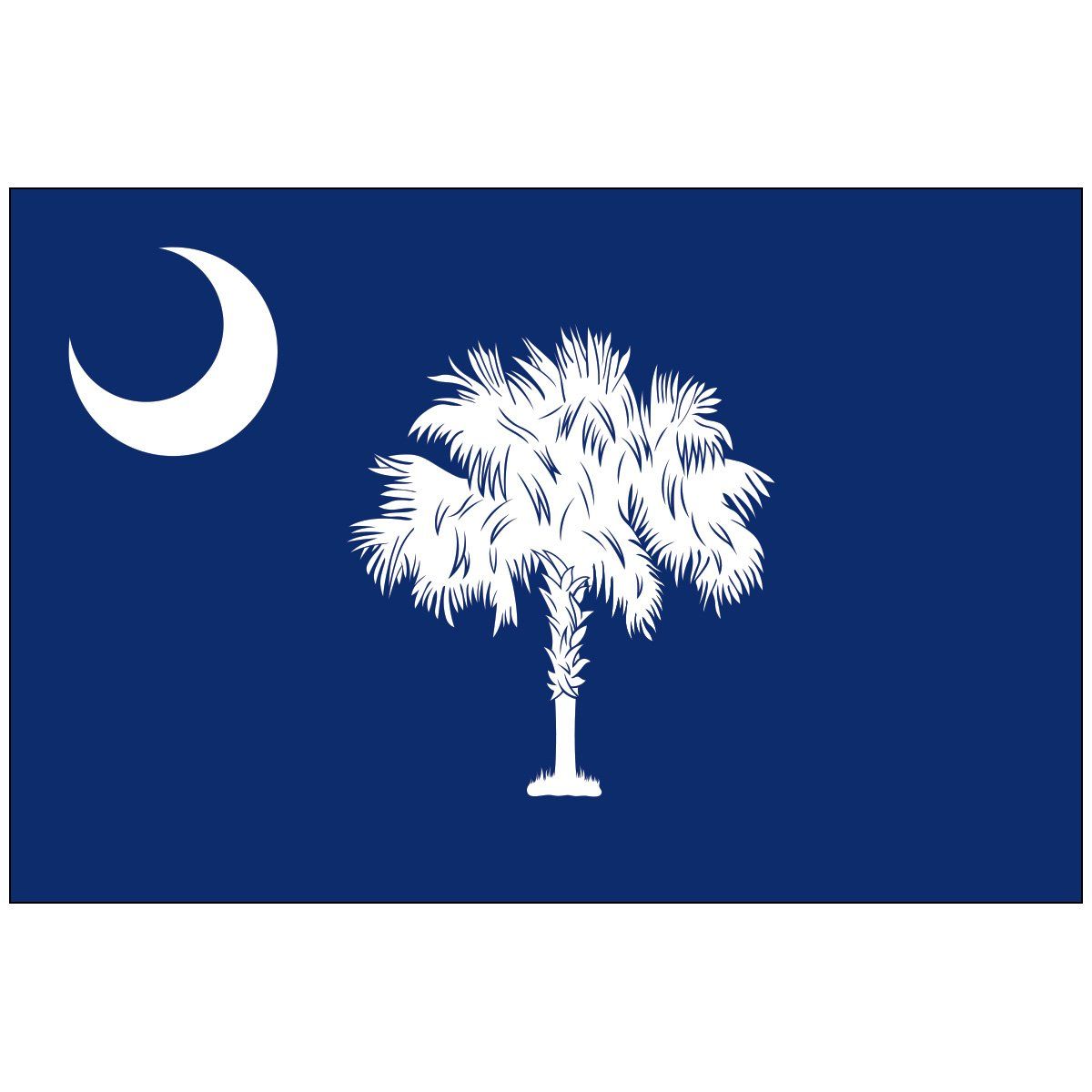 A blue flag with a palm tree and a crescent moon