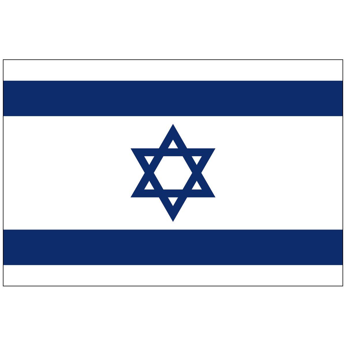 A blue and white flag with a star of david on it