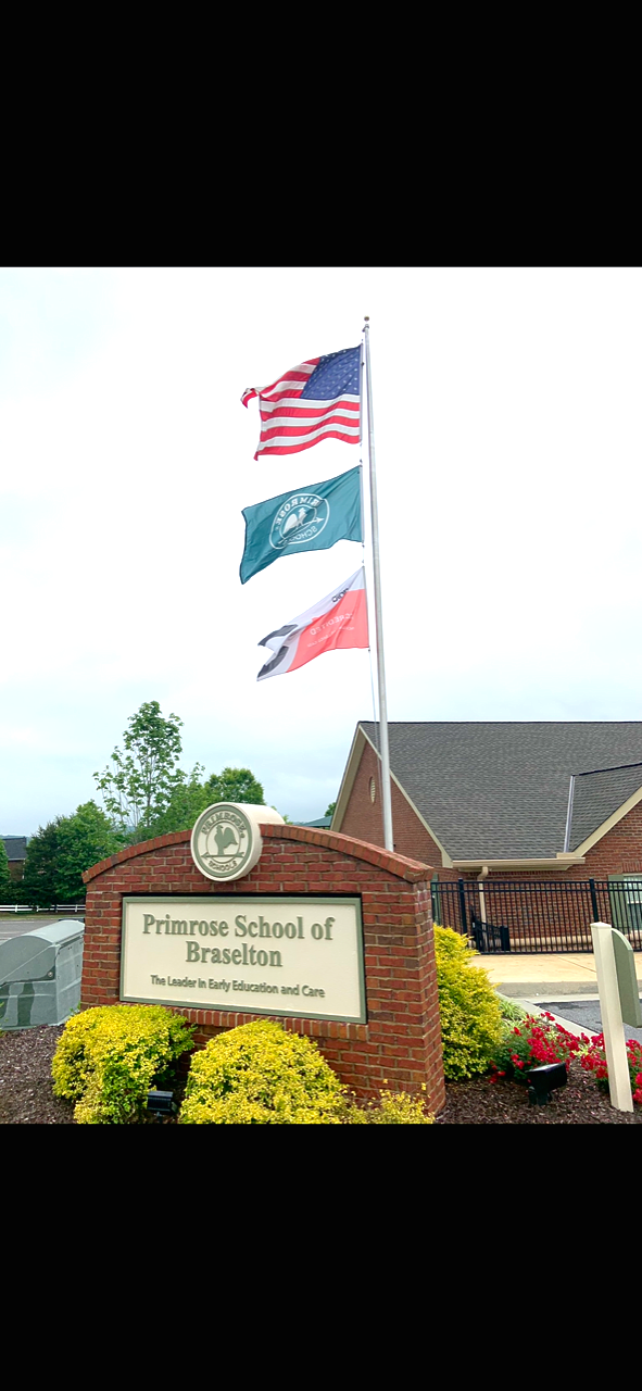Three flags are flying in front of a sign that says pharmacy school of medicine