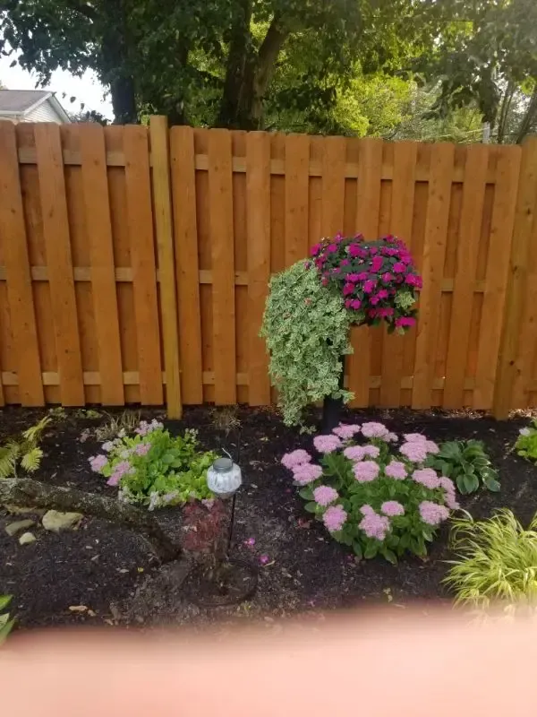 Flower bed with pink and purple blooms against a wooden fence, with a finger partly covering the bottom edge.
