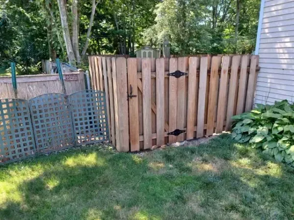 Wooden fence and gate beside a house, with a lattice panel and grassy yard under trees.