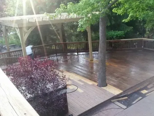 Wooden deck with railing and pergola, surrounded by trees and shrubs, wet from rain.