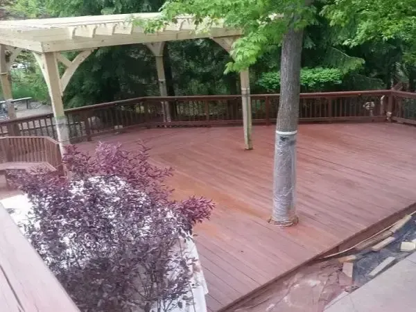 Wooden deck with railing and pergola, surrounded by lush green trees and a purple shrub.