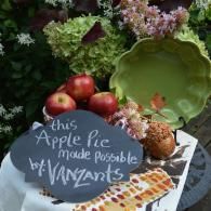 apples