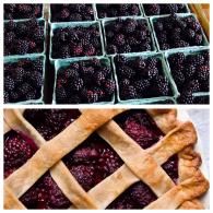 blackberries