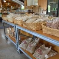 bread