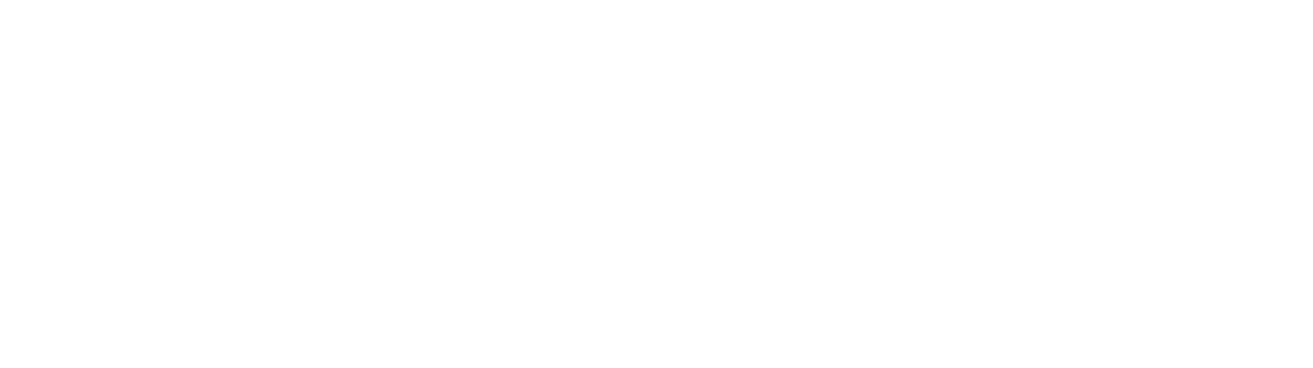 White enneastrology logo