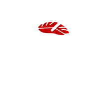 Small red abstract logo on a white background