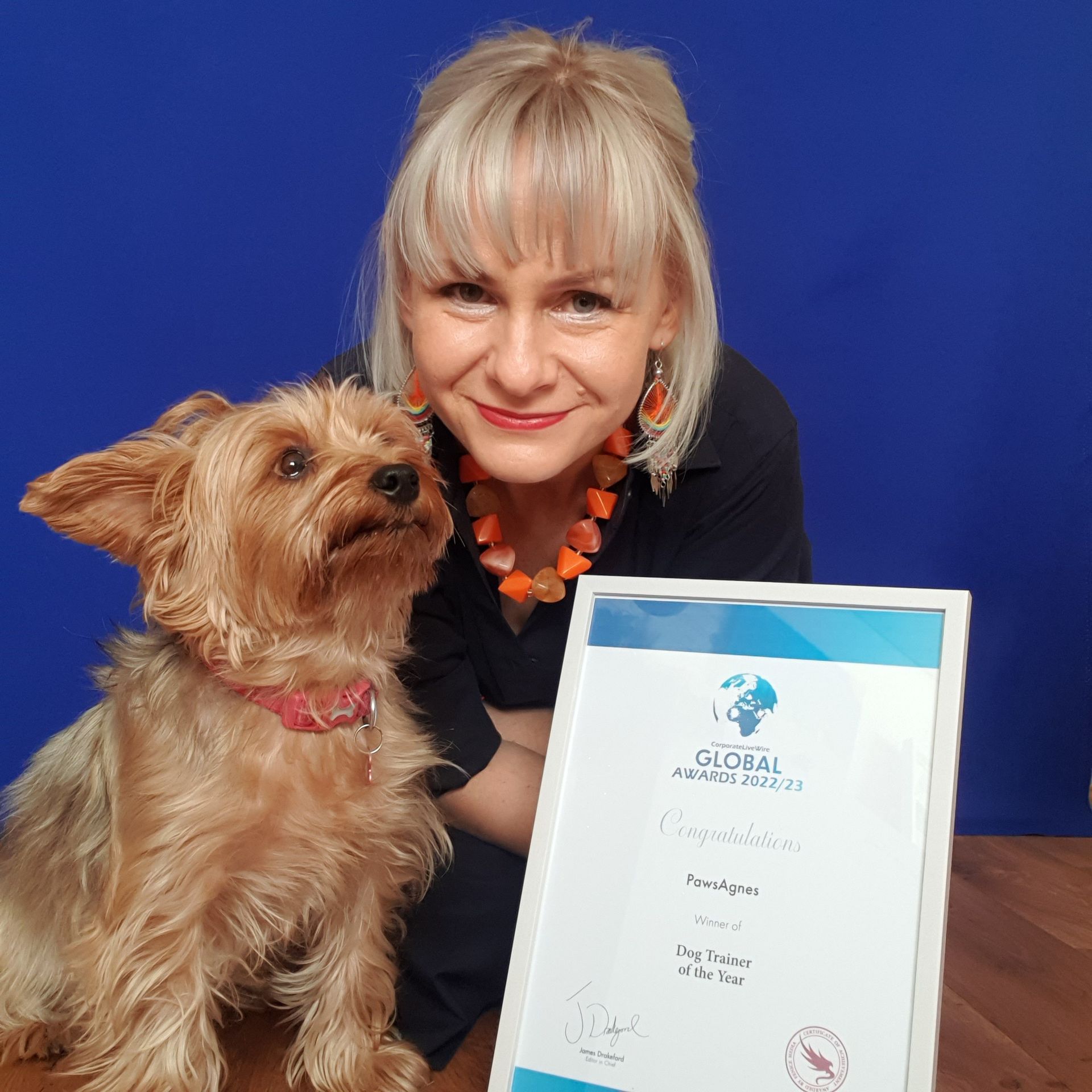 A framed article and the glass diamond-shaped trophy for the Dog Trainer of the Year South London award.