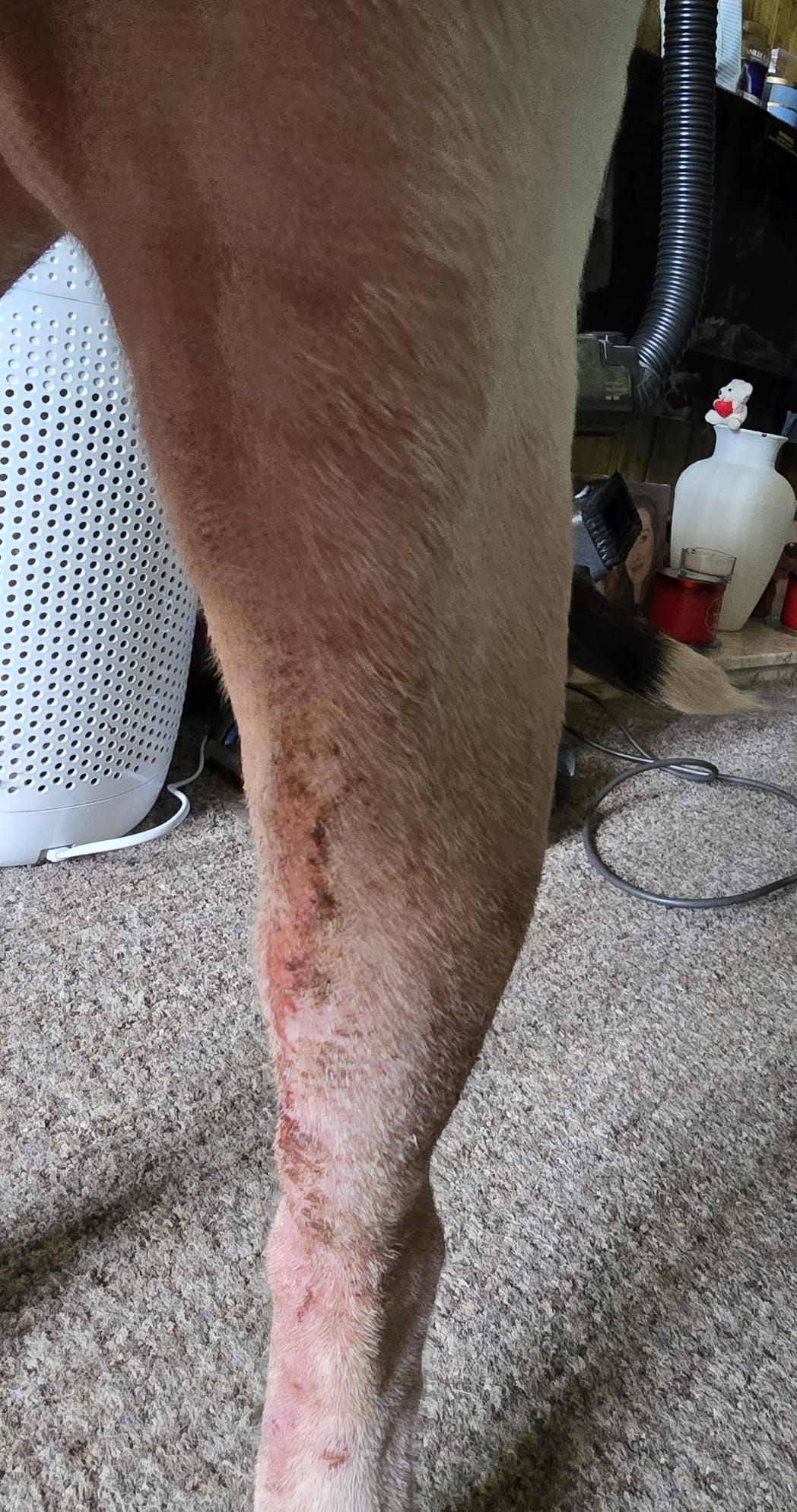 After the Healing
