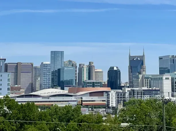 A city skyline with a lot of buildings and trees in the foreground.