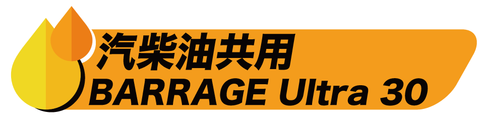 彈幕超30的標誌，上面寫著中文