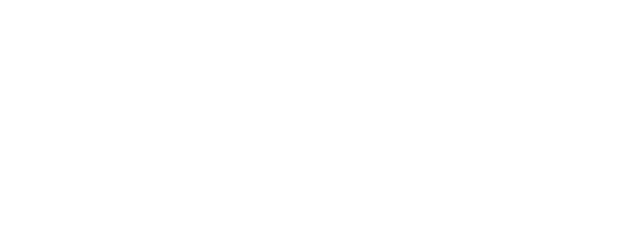 INDUSTRIAL ELECTRONIC CONTROLS, LLC logo