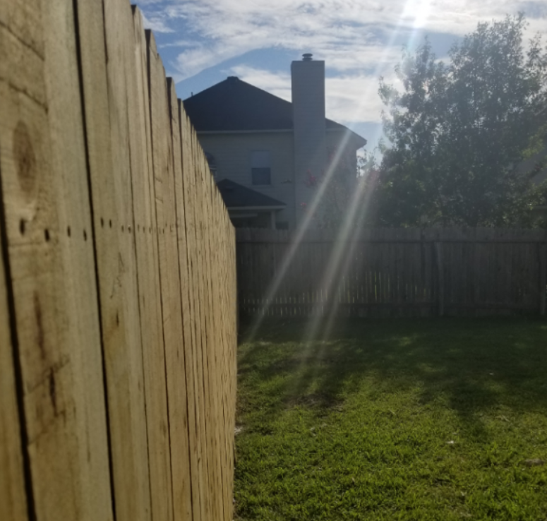 Sunlit backyard with a wooden fence, green lawn, and a house in the background
