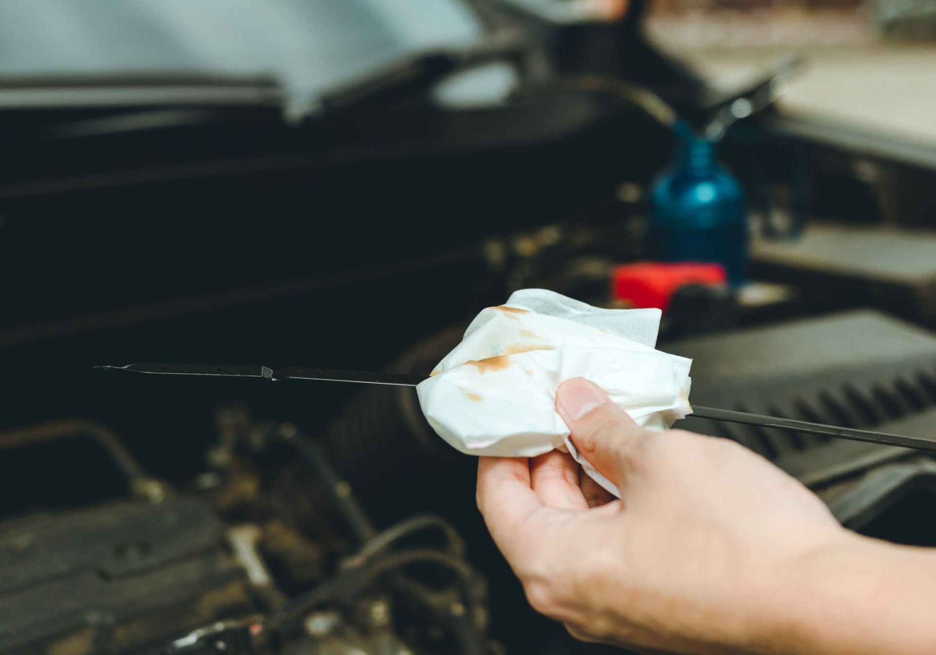 BMW Fluid Flush Service | Rolf's Import Auto Service