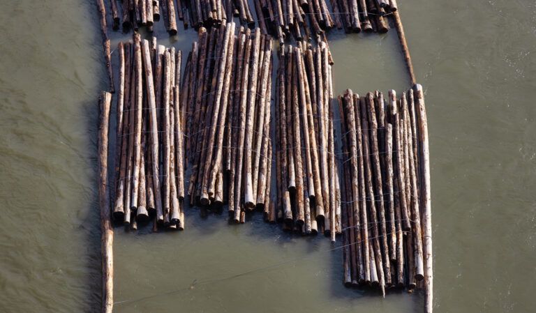 Logs | Rolf's Import Auto Service